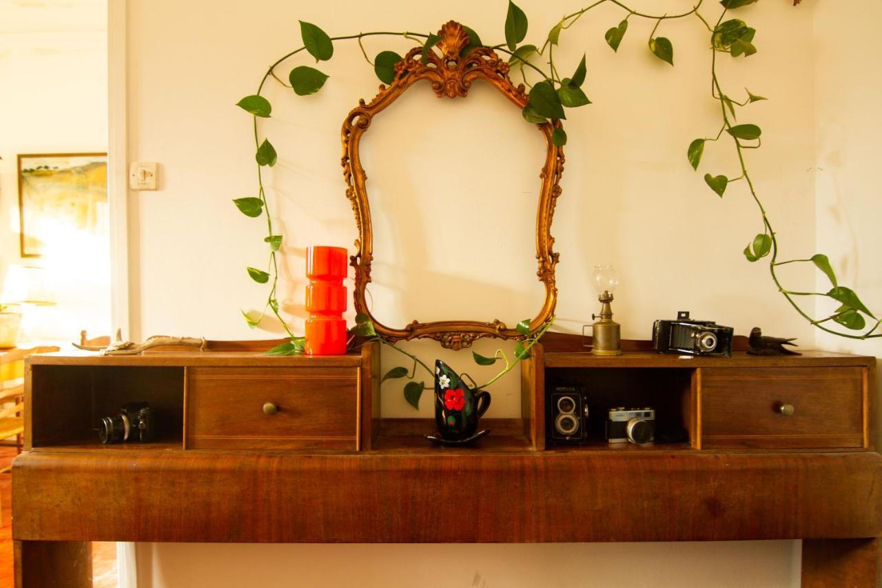 Jolie Chambre Dans Appartement Cosy En Plein Centre مارسيليا المظهر الخارجي الصورة
