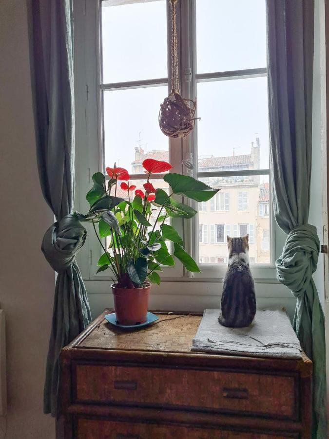 Jolie Chambre Dans Appartement Cosy En Plein Centre مارسيليا المظهر الخارجي الصورة